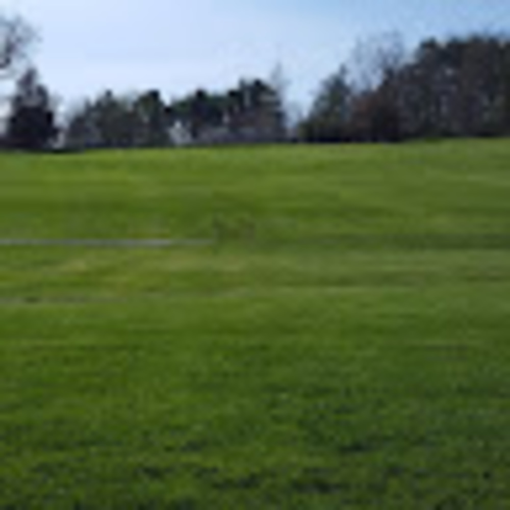 Meet your Posher, Larissa